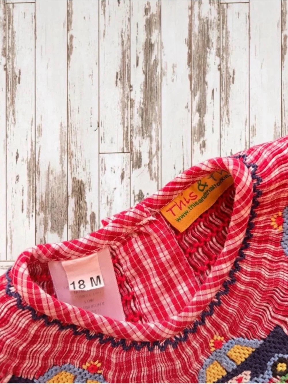Vintage Red Gingham Smocked Bishop Dress